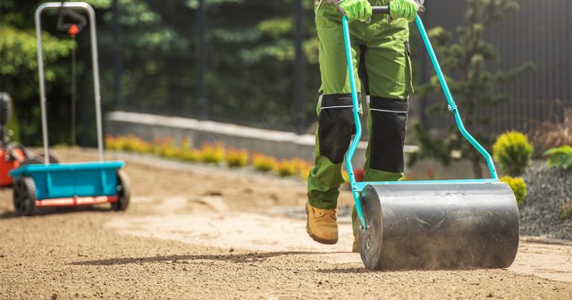 После посева снова прорыхлите будущий газон, чтобы максимальный объём семян попал под землю, затем выровняйте и слегка утрамбуйте грунт.