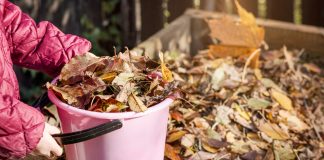 Как превратить опавшие листья в полезное удобрение? Всё о листовой земле - Удобрения и средства защиты Листовая земля: самое простое удобрение в арсенале огородника.