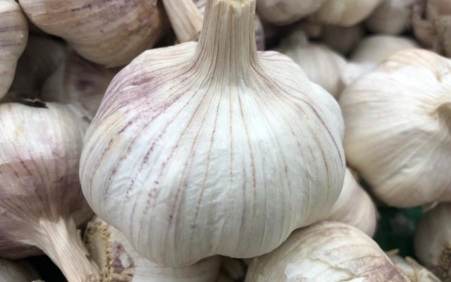 "Парус" ценится за яркий, выраженный вкус, ароматную, сочную мякоть, лёжкость и зимостойкость при выращивании в большинстве областей.