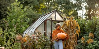 Лунный календарь садовода и огородника на октябрь 2025 года - Бахчевые культуры Лунный календарь садовода и огородника на октябрь 2025 года.