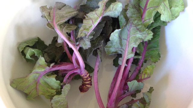 У этой капусты есть не менее декоративный межвидовой гибрид с брюссельской капустой - брюссекале.