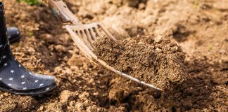 Подготовка грядок осенью — 5 шагов для богатого урожая - Бахчевые культуры Подготовка грядок осенью — 5 шагов для богатого урожая.