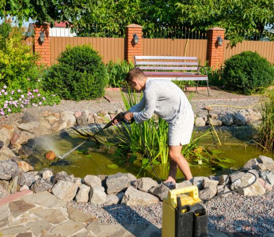 Простая и эффективная очистка дачного пруда без химии.