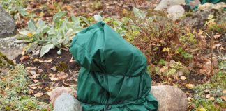 Что вы могли не знать о зимовке растений — создаем идеальные условия - Сад и огород Что вы могли не знать о зимовке растений — создаем идеальные условия.