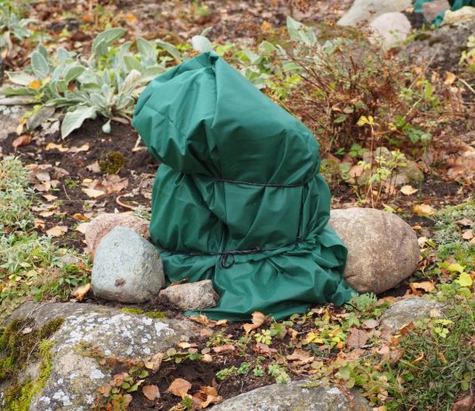 Что вы могли не знать о зимовке растений — создаем идеальные условия - Деревья Что вы могли не знать о зимовке растений — создаем идеальные условия.