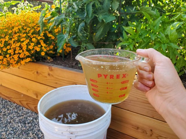 Лучше всего хвощ полевой применять в составе комплексного жидкого удобрения вместе с другими сорняками (крапивой, ромашкой, сурепкой, пастушьей сумкой). Лучше всего хвощ полевой применять в составе комплексного жидкого удобрения вместе с другими сорняками (крапивой, ромашкой, сурепкой, пастушьей сумкой).