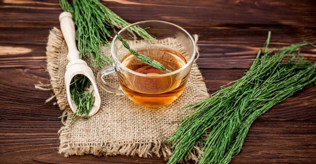 Растение улучшает мочеотделение, заживляет раны, уменьшает отёки, усиливает обмен веществ. Растение улучшает мочеотделение, заживляет раны, уменьшает отёки, усиливает обмен веществ.