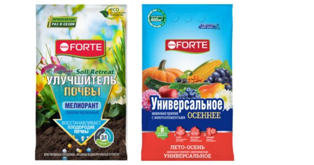 Если грунт не очень хороший (лёгкий, тяжёлый, бедный, засолённый) внесите почвоулучшитель на основе цеолита Soil Retreat Мелиорант пролонгированный Bona Forte.