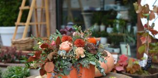 Куда пристроить лишнюю тыкву? 10 интересных идей - Бахчевые культуры Куда пристроить лишнюю тыкву? 10 интересных идей