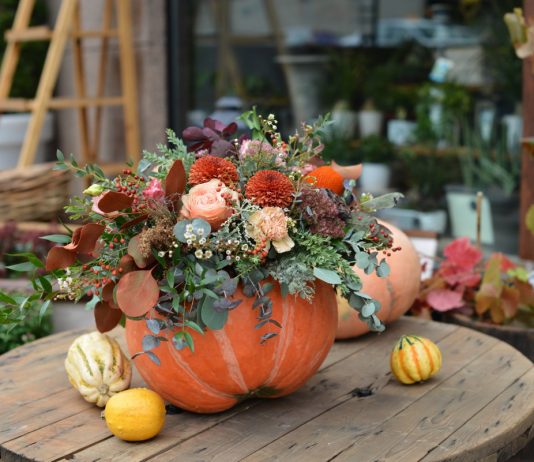 Куда пристроить лишнюю тыкву? 10 интересных идей