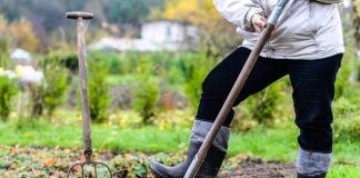 Нужно ли перекапывать почву и какие есть альтернативы?