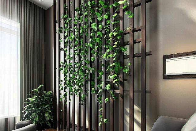 Блестящим примером служит напольная или распорная решетка-шпалера. Блестящим примером служит напольная или распорная решетка-шпалера.