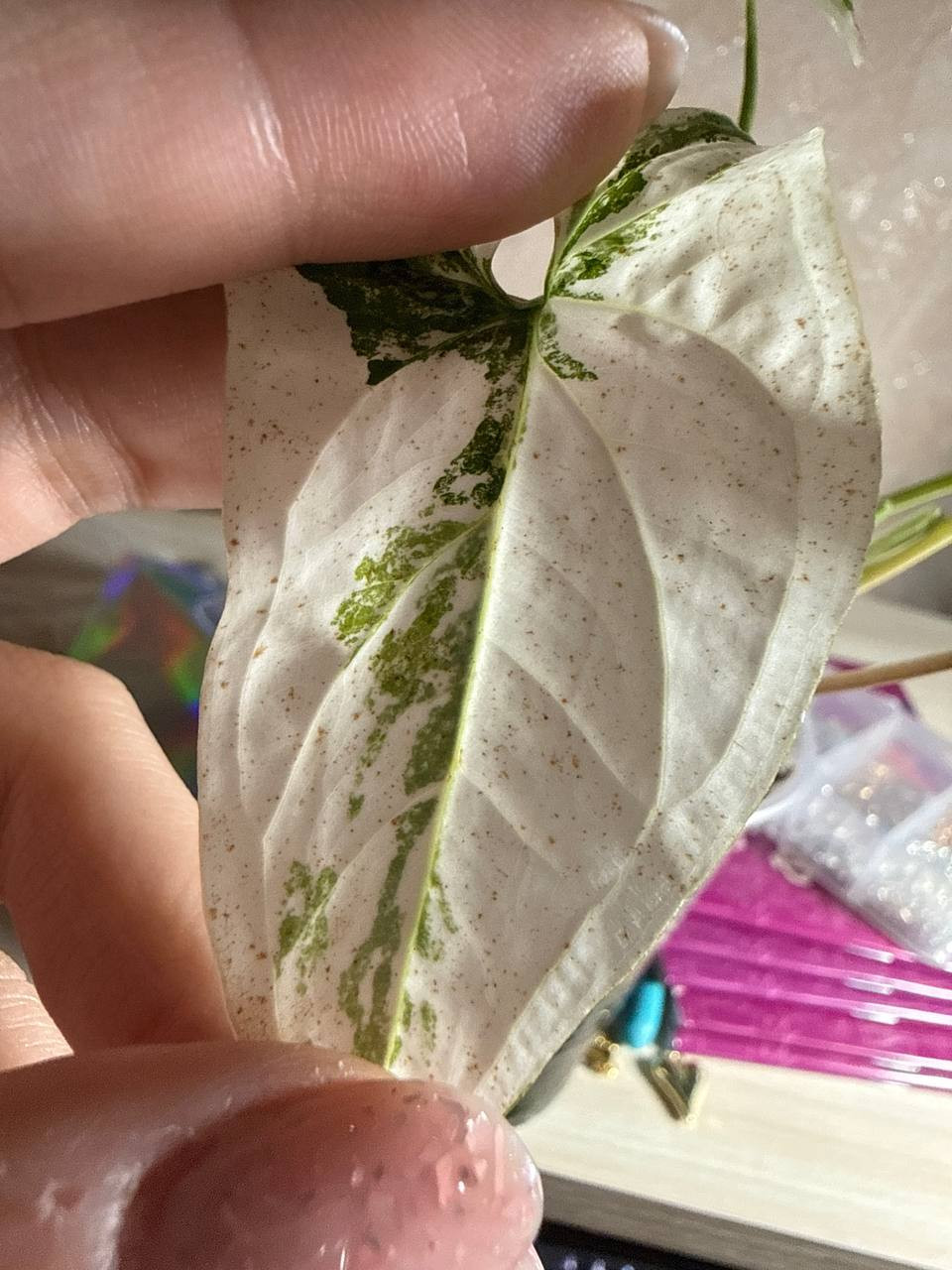 photo_2025-10-18_22-38-24