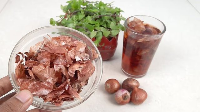 Состав луковой шелухи позволяет использовать её и в качестве органоминеральной листовой подкормки, и в качестве стимулятора роста, и в качестве защиты от патогенных грибов и насекомых-вредителей.