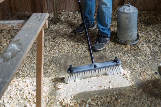 Грязная подстилка, сырость и влажность - это идеальные условия для развития патогенных микроорганизмов и распространения инфекций.
