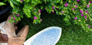 Портятся ли удобрения? Вся правда о сроках годности, хранении и утилизации.