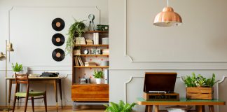 Растения-винтажи: какие цветы были в каждом советском доме и почему?