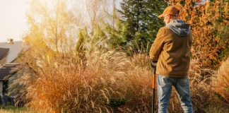 Самая полная инструкция по подготовке цветника к зиме - Декоративные кустарники Самая полная инструкция по подготовке цветника к зиме