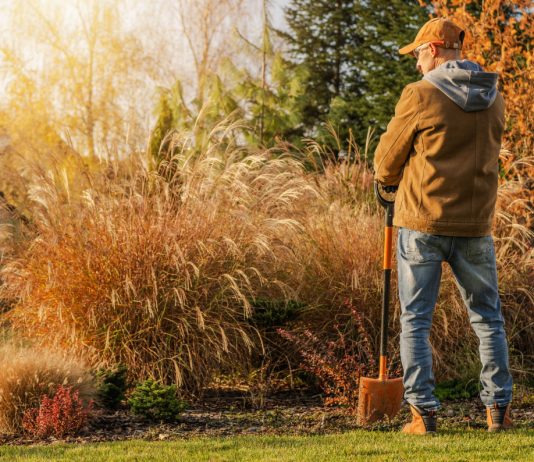 Самая полная инструкция по подготовке цветника к зиме