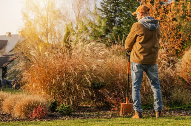 Самая полная инструкция по подготовке цветника к зиме Самая полная инструкция по подготовке цветника к зиме