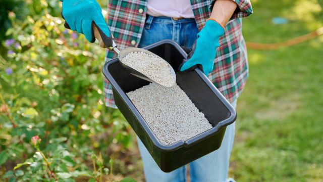 Отличный выбор для осенней подкормки – специализированные комплексные удобрения, в состав которых входят в нужном количестве и нужной пропорции все необходимые макро- и микроэлементы. Отличный выбор для осенней подкормки – специализированные комплексные удобрения, в состав которых входят в нужном количестве и нужной пропорции все необходимые макро- и микроэлементы.