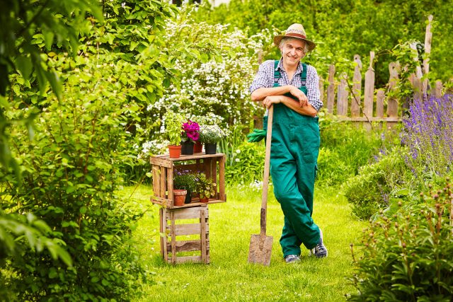Мой результат: Садовод с домашней энциклопедией Мой результат: Садовод с домашней энциклопедией