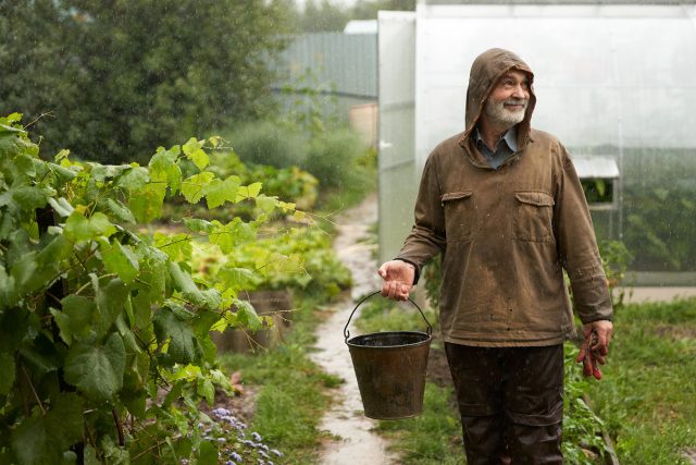Мой результат: Агроном из Петербурга