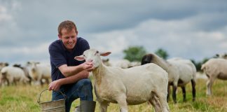 Топ-10 вещей, которые часто ломаются на ферме — и как с ними справиться?