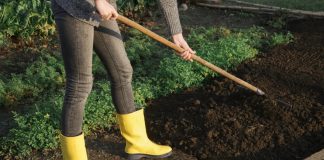 Возвращаем почве плодородие, или Как подготовить огород к весне.