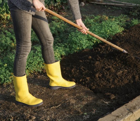 Возвращаем почве плодородие, или Как подготовить огород к весне.