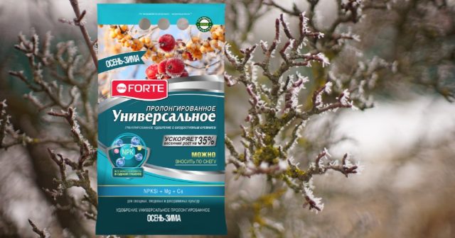 Более «продвинутый» вариант — удобрение гранулированное пролонгированное УНИВЕРСАЛЬНОЕ осень-зима Бона Форте. Более «продвинутый» вариант — удобрение гранулированное пролонгированное УНИВЕРСАЛЬНОЕ осень-зима Бона Форте.
