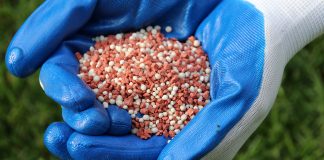 Вся правда об азоте в осенних подкормках - Удобрения и средства защиты Вся правда об азоте в осенних подкормках.