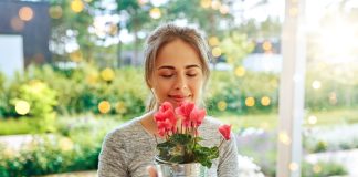 12 комнатных растений, которые приносят удачу и счастье в дом - Комнатные растения 12 комнатных растений, которые приносят удачу и счастье в дом