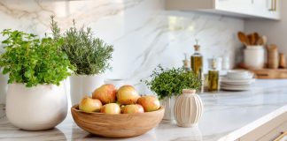 5 полезных трав для комнатного выращивания - Редкие и необычные 5 полезных трав для комнатного выращивания.