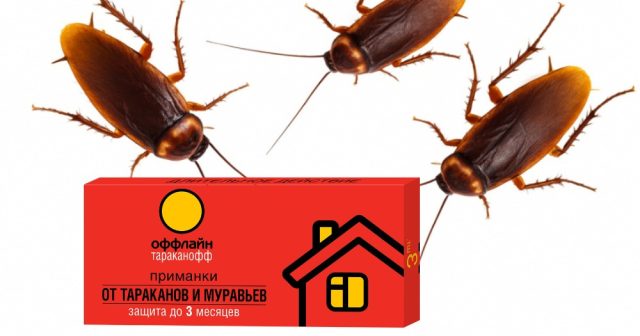 Приманки от тараканов и муравьёв Оффлайн можно установить в местах питания и активного передвижения вредителей. Приманки от тараканов и муравьёв Оффлайн можно установить в местах питания и активного передвижения вредителей.