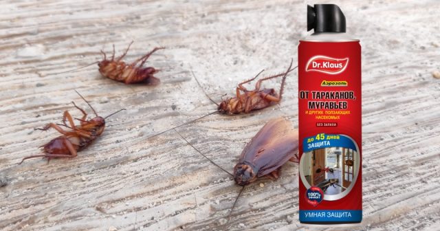 Для зачистки укромных убежищ вредителей, выходов из них и разных труднодоступных локаций лучше подойдёт аэрозоль от тараканов и муравьёв Dr.Klaus.