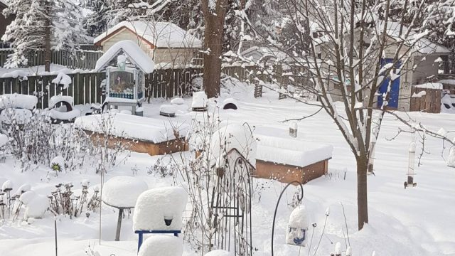 Высокий снежный покров защищает подзимние посевы и многолетнюю зелень от гибели, землю от промерзания, не даёт погибнуть полезной почвенной микрофлоре, а весной напитывает грядки влагой.