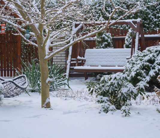 Что нельзя делать садоводам и огородникам в декабре - Календари садово-огородных работ Что нельзя делать садоводам и огородникам в декабре