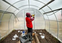 Что необходимо сделать с теплицей в конце осени: готовимся к новому сезону - Сад и огород Что необходимо сделать с теплицей в конце осени: готовимся к новому сезону.