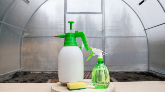 Теплицу можно обработать и другими средствами (медным купоросом, «Оксихомом» от болезней и «Инта-Виром» или «Фуфаноном-Нова» от вредителей).