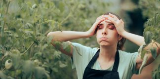 Главные «табу» для садовода, или Как уберечь сад от ошибок?