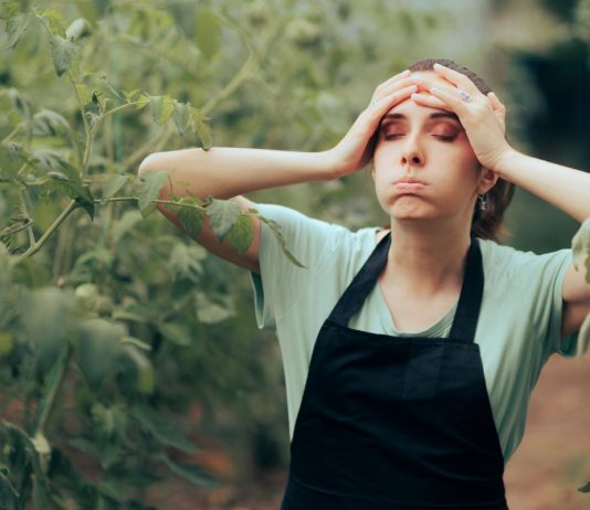Главные «табу» для садовода, или Как уберечь сад от ошибок? - Удобрения и средства защиты Главные «табу» для садовода, или Как уберечь сад от ошибок?