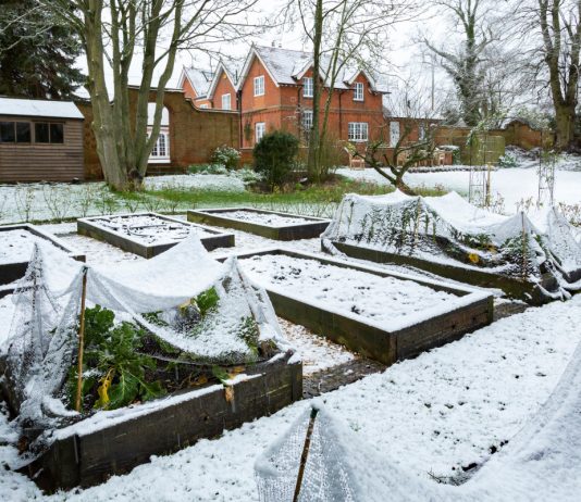 Лунный календарь садовода и огородника на декабрь 2025 года.