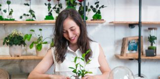 Мастерим комнатную теплицу своими руками — все возможные варианты.