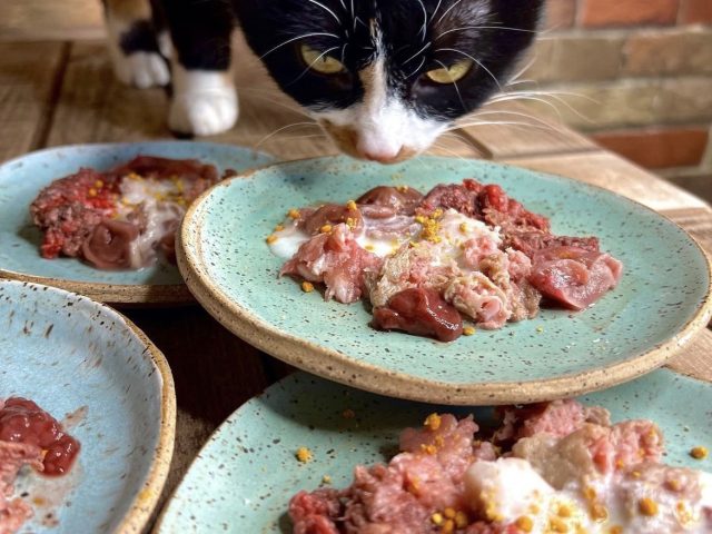 Обратите внимание на чистоту мяса. Перед тем, как оно кажется в миске питомца, вы должны убедиться, что на нём нет осколков костей и частиц различного мусора.