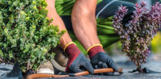 Прекратите надрывать спину: 10 вещей, которые облегчат работу в цветнике Прекратите надрывать спину: 10 вещей, которые облегчат работу в цветнике.