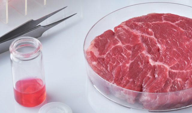 Это искусственно выращенное мясо, для создания которого были взяты клетки у живого животного путём биопсии.
