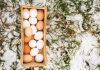 Зимняя яйценоскость кур-несушек: секреты сохранения продуктивности Зимняя яйценоскость кур-несушек: секреты сохранения продуктивности.