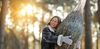 Как сохранить новогоднюю ёлку красивой и свежей подольше? Раскрываем секреты