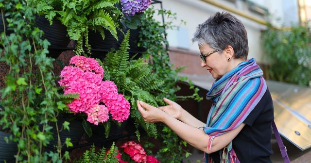 Основной осмотр растения проводят дома, но первые тревожные признаки важно заметить уже при покупке. Листья (особенно с изнанки), пазухи, стебли и грунт могут выдать вредителей и болезни ещё до того, как цветок окажется у вас дома.